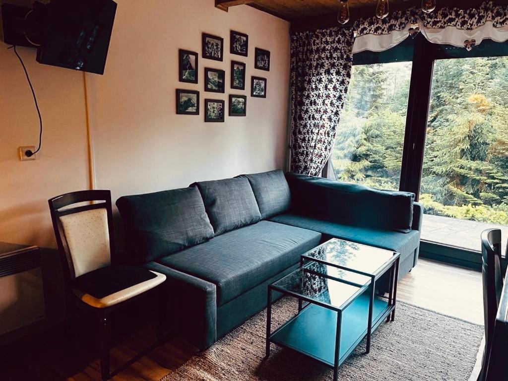 Butorowy Cichy Potok Apartment Koscielisko Exterior photo